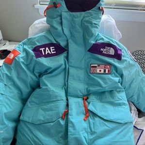 The north face transantartica 700 down parka